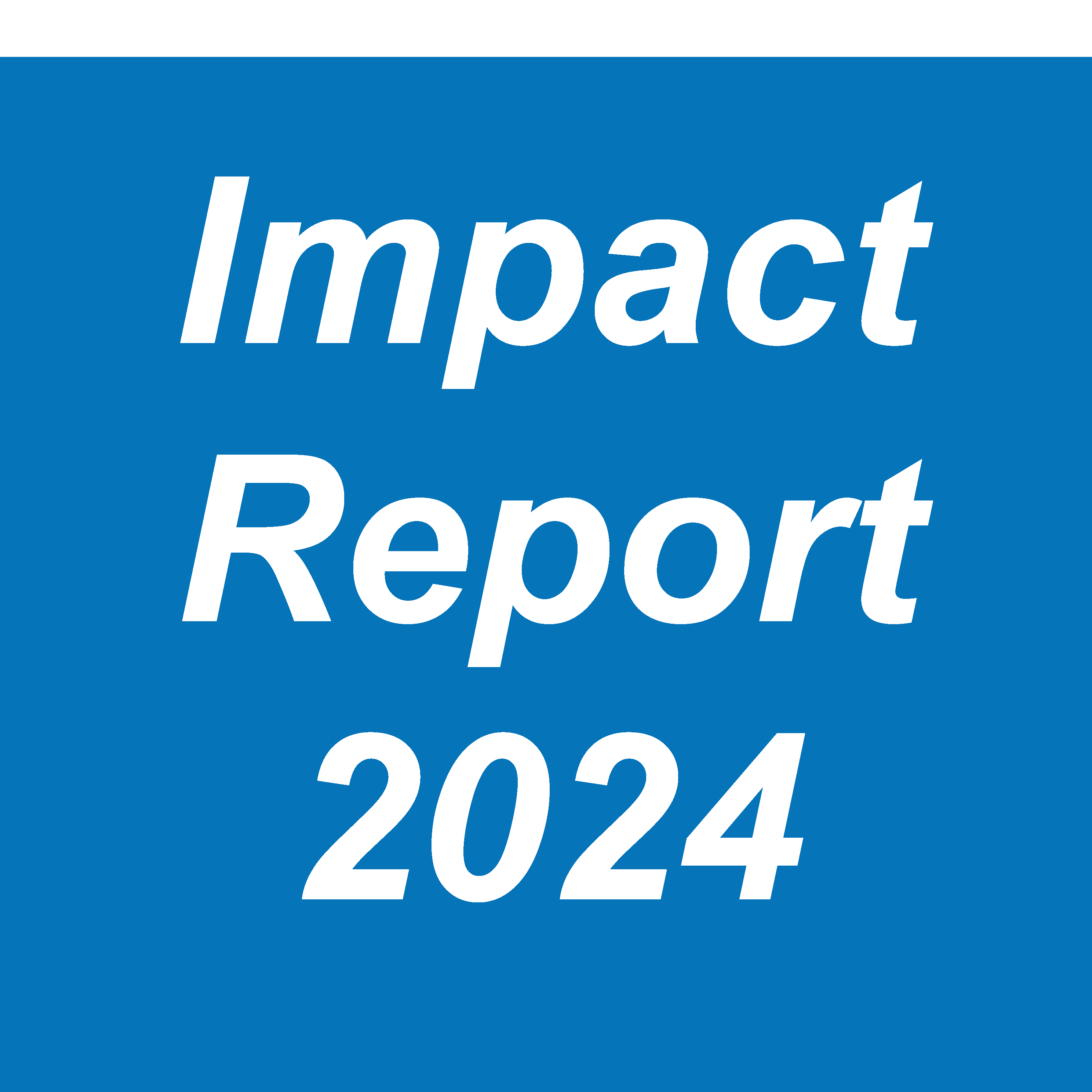 Impact Report-Tile 2024